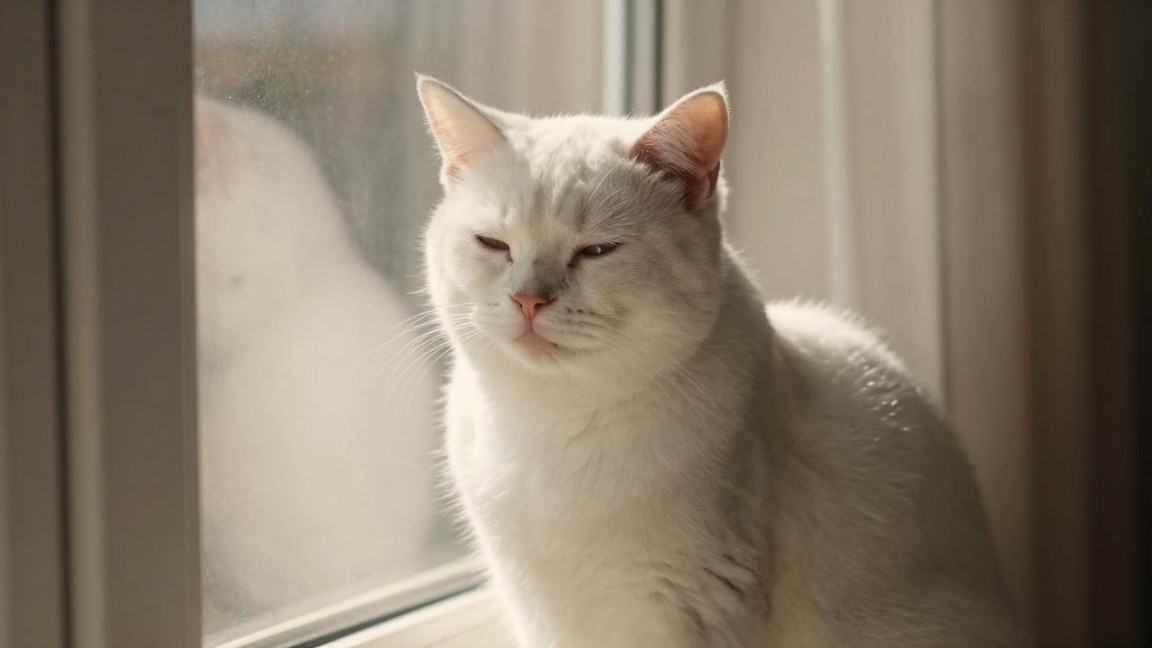 教育、健康、翻译多线爆发，AI智能眼镜打响“场景争夺战”