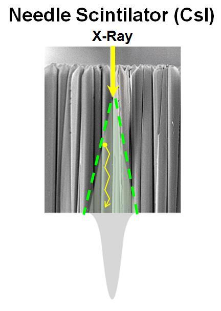 原来,影响牙科CBCT成像的关键在这里… 原来,影响牙科CBCT成像的关键在这里…