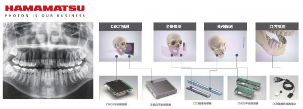 原来,影响牙科CBCT成像的关键在这里… 原来,影响牙科CBCT成像的关键在这里…
