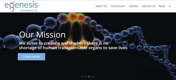 8家值得关注的基因编辑公司:基因大牛的创业项目,涵盖罕见病治疗到器官移植 8家值得关注的基因编辑公司:基因大牛的创业项目,涵盖罕见病治疗到器官移植