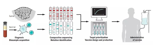 疫苗屡陷罗生门，AI能为疫苗做点什么？