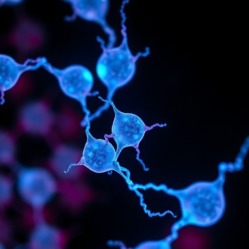 在胎盘干细胞中寻找长寿密码，Celularity专注开发胎盘的医用价值