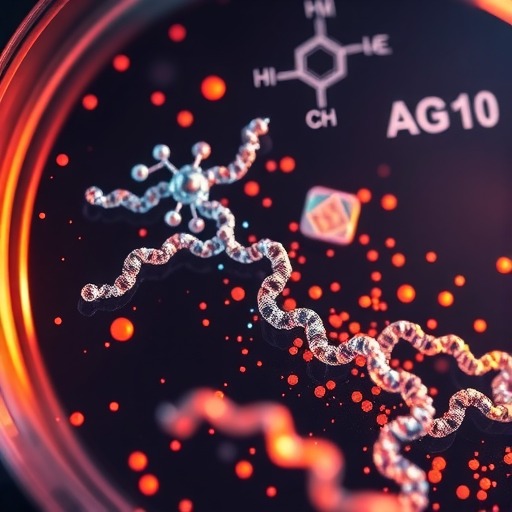 Eidos研发的AG10候选药，如何与ATTR罕见病抗争到底？