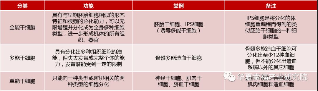 永生之门——哪里是中国干细胞技术的创新尖峰？