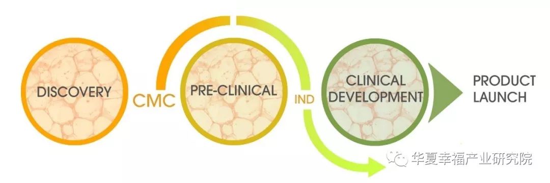 医药新周期、科创新高地——科创板生物医药行业深度研判(下) 医药新周期、科创新高地——科创板生物医药行业深度研判(下)
