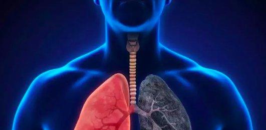 AI医学影像炙手可热，商业化之路还有多远？