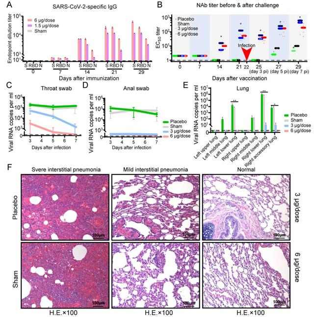 Science公开首个疫苗动物实验结果，新冠疫苗最快明年3月份上市