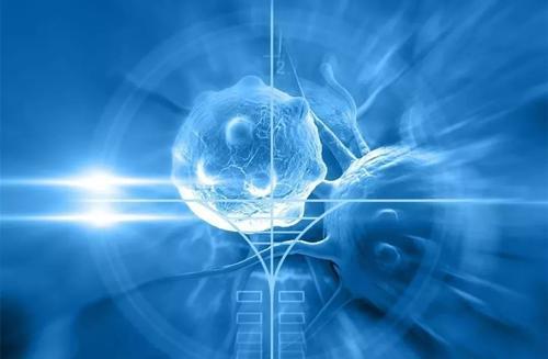 日本将于下个月开始使用干细胞治疗新冠肺炎的临床试验