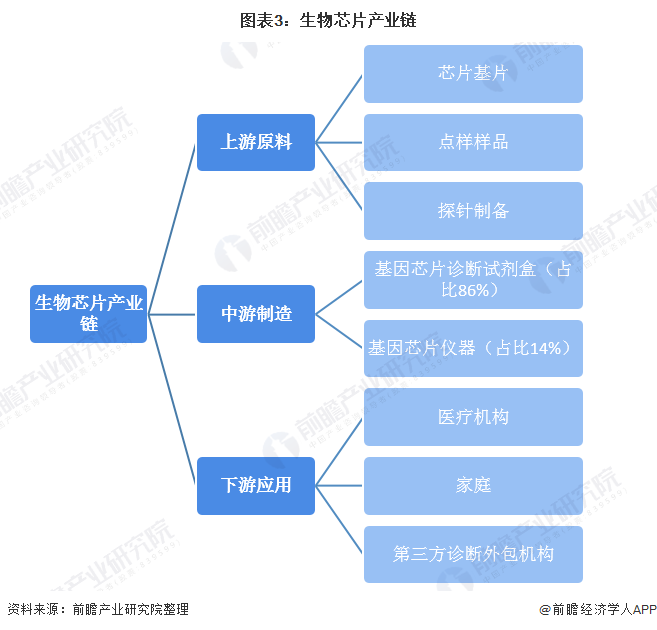 图表3：生物芯片产业链