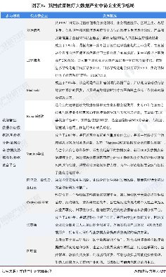 图表8：我国健康医疗大数据产业中游企业竞争格局