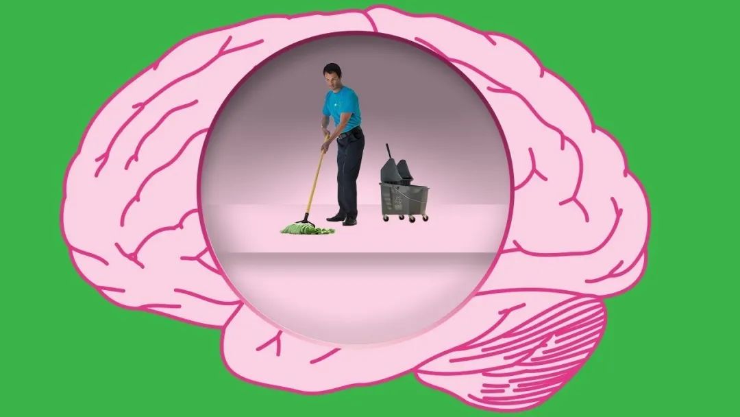 睡眠是如何通过“洗脑”来预防阿尔茨海默病的