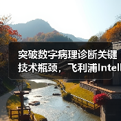 突破数字病理诊断关键技术瓶颈，飞利浦IntelliSite平台亮相CHINC 2020（图3）