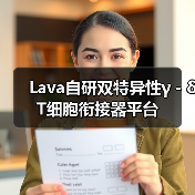 Lava自研双特异性γ－δT细胞衔接器平台（图3）