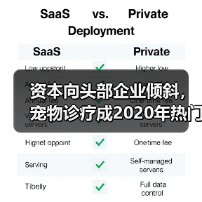 资本向头部企业倾斜，宠物诊疗成2020年热门赛道（图3）