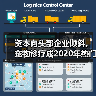 资本向头部企业倾斜，宠物诊疗成2020年热门赛道（图2）