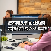 资本向头部企业倾斜，宠物诊疗成2020年热门赛道（图4）