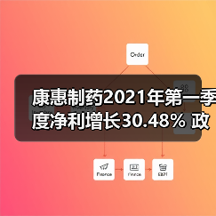 康惠制药2021年第一季度净利增长30.48% 政府补助增加(图3) 康惠制药2021年第一季度净利增长30.48% 政府补助增加(图3)