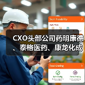 CXO头部公司药明康德、泰格医药、康龙化成实力几何?(图4) CXO头部公司药明康德、泰格医药、康龙化成实力几何?(图4)