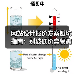 网站设计报价方案避坑指南：别被低价套餐骗了！（图4）