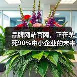 品牌网站官网，正在杀死90%中小企业的未来？