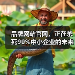 品牌网站官网，正在杀死90%中小企业的未来？（图4）