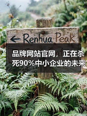 品牌网站官网，正在杀死90%中小企业的未来？（图3）