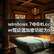 windows 7中BitLocker驱动器加密功能为分区加把锁的详细步骤（图4）
