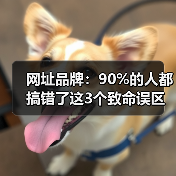 网址品牌:90%的人都搞错了这3个致命误区(图4) 网址品牌:90%的人都搞错了这3个致命误区(图4)