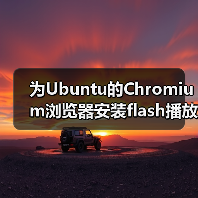 为Ubuntu的Chromium浏览器安装flash播放器插件（图2）