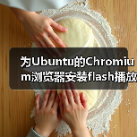 为Ubuntu的Chromium浏览器安装flash播放器插件（图4）