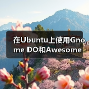 在Ubuntu上使用Gnome DO和Awesome（图3）