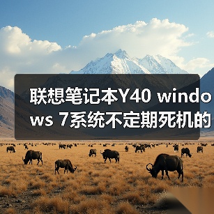 联想笔记本Y40 windows 7系统不定期死机的原因及解决方法（图1）
