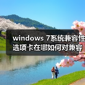 windows 7系统兼容性选项卡在哪如何对兼容性进行设置（图2）