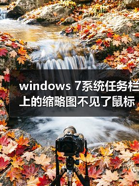 windows 7系统任务栏上的缩略图不见了鼠标移上无显示效果（图4）