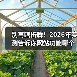别再瞎折腾！2026年实测告诉你网站功能哪个好用（图4）