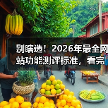 别瞎选！2026年最全网站功能测评标准，看完少走3年弯路（图3）