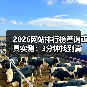 2026网站排行榜查询工具实测：3分钟找到真实数据