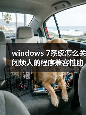 windows 7系统怎么关闭烦人的程序兼容性助手PCA（图2）