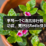 手写一个C语言排行榜功能，竟然比Redis快3倍？（图3）