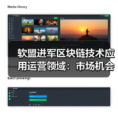 软盟进军区块链技术应用运营领域：市场机会与发展建议（图2）