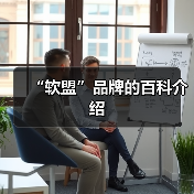 “软盟”品牌的百科介绍（图3）