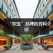 “软盟”品牌的百科介绍（图4）