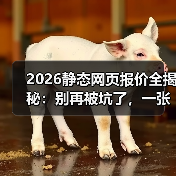 2026静态网页报价全揭秘：别再被坑了，一张表看懂真实成本（图4）