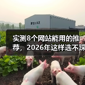 实测8个网站能用的推荐，2026年这样选不踩坑（图2）