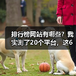 排行榜网站有哪些？我实测了20个平台，这6个最好用（图4）