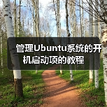 管理Ubuntu系统的开机启动项的教程（图3）