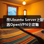 在Ubuntu Server上配置OpenVPN全攻略(图4) 在Ubuntu Server上配置OpenVPN全攻略(图4)