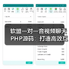 软盟一对一音视频聊天PHP源码：打造高效互动的社交新体验（图4）