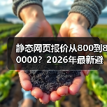 静态网页报价从800到80000？2026年最新避坑指南（图4）