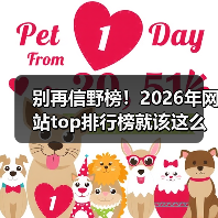 别再信野榜！2026年网站top排行榜就该这么选（图4）